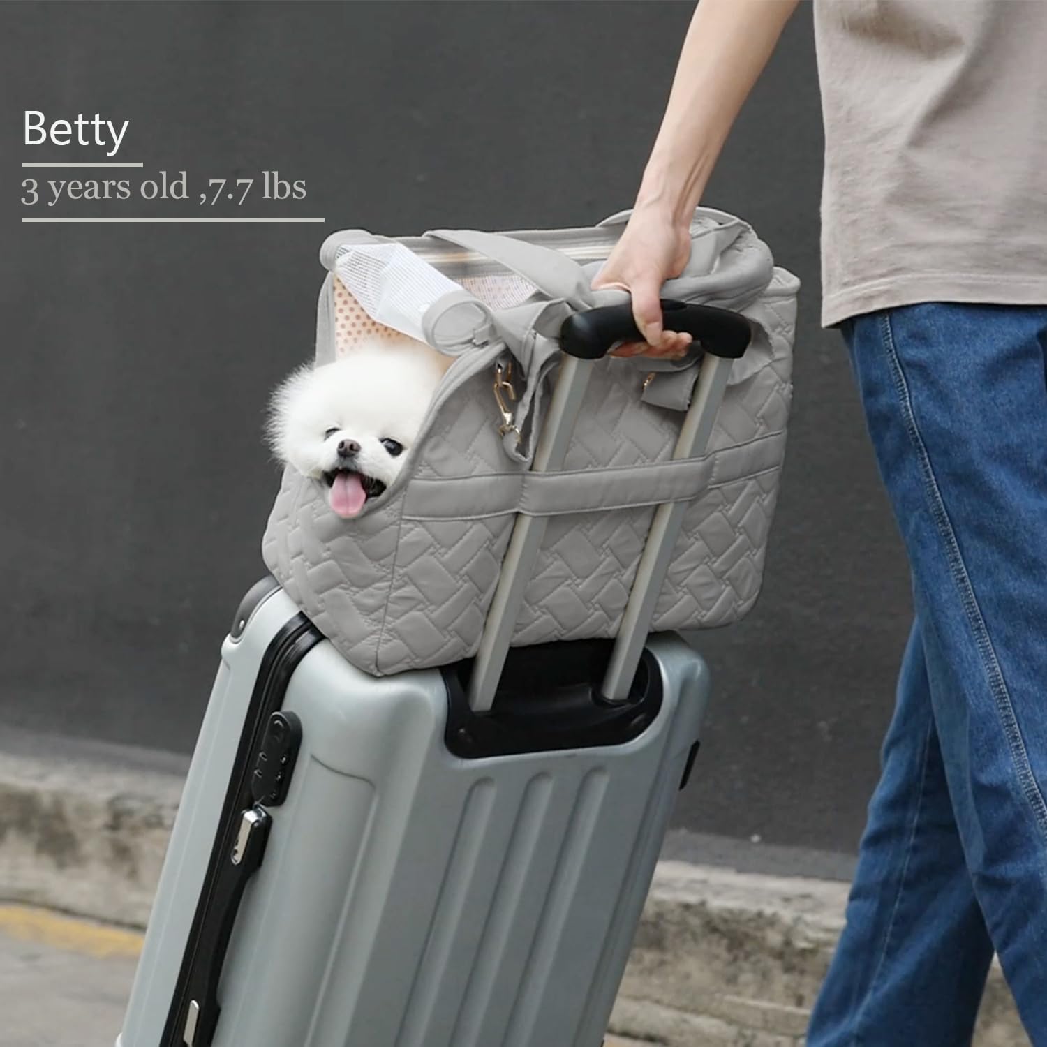 Hunde Travel Bag